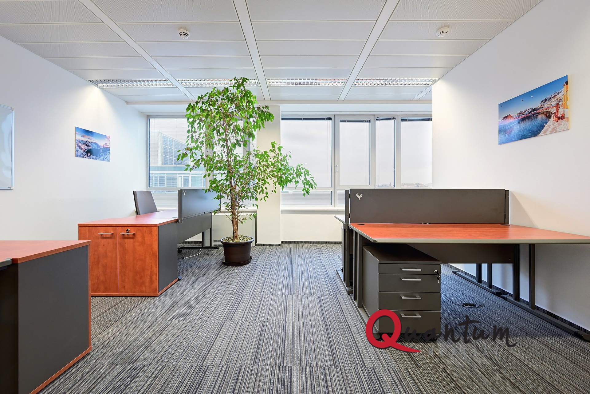 DSC_1345_00001_6_00001_7_00001_8_00001_Fusion-Natural