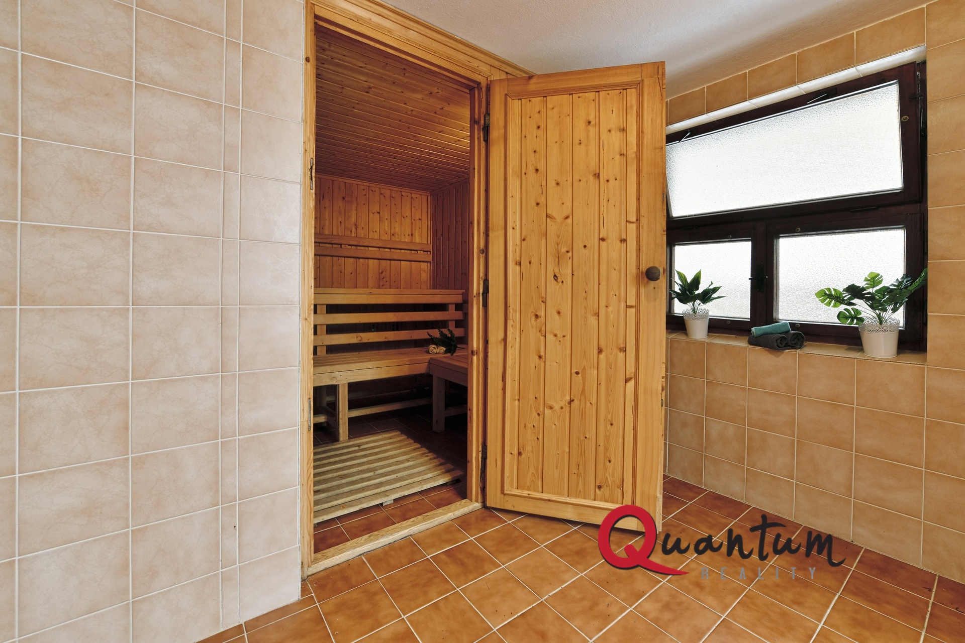 sauna vstup