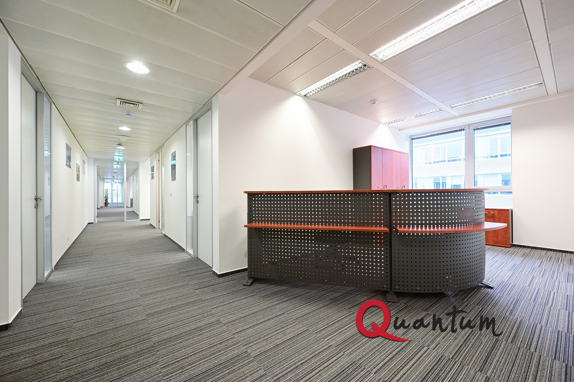 DSC_1258_00001And3more_Fusion-Natural