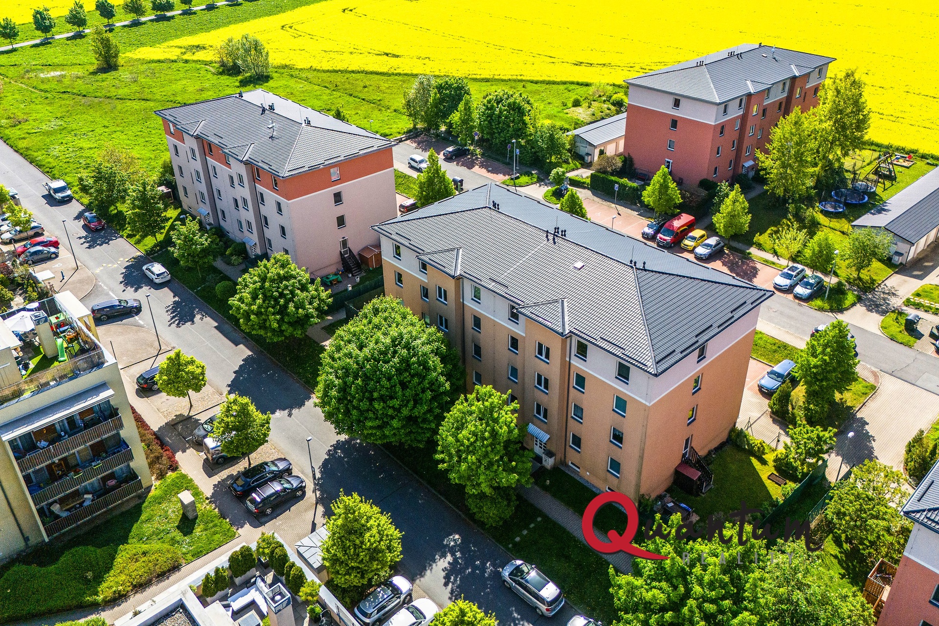 29 Rynska