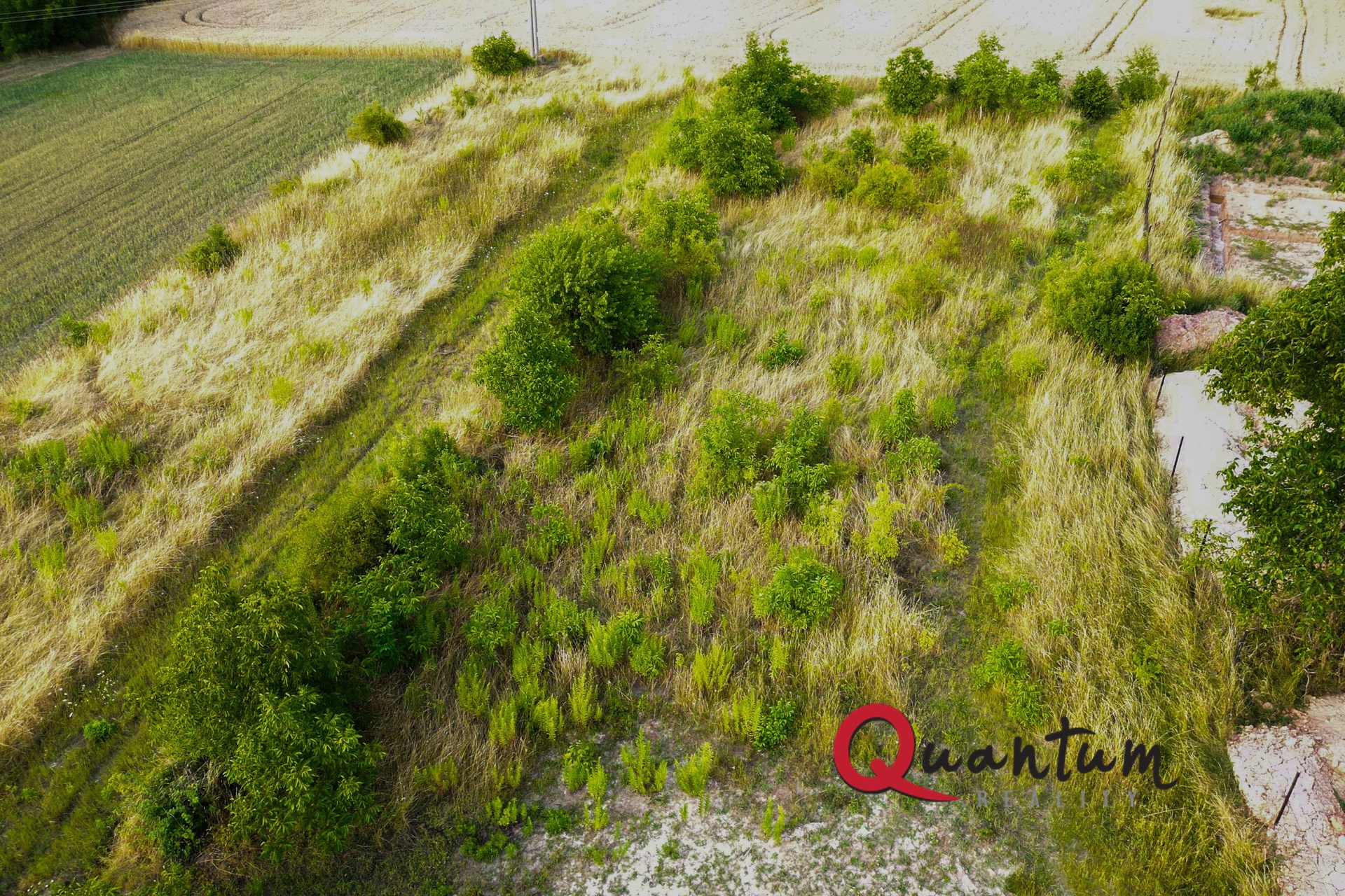 DJI_0324
