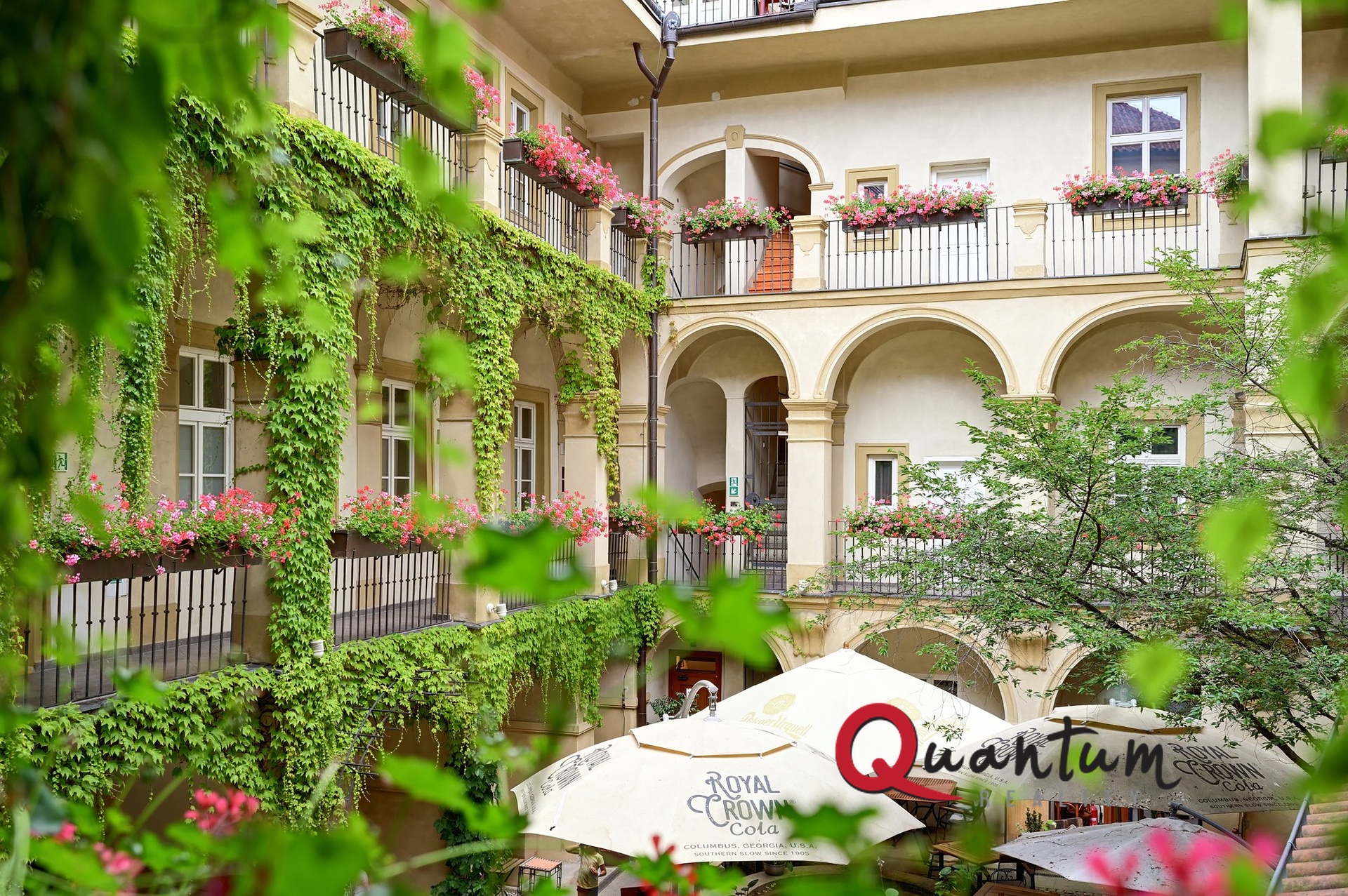 DSC_0653_00001_01And3more_Fusion-Natural