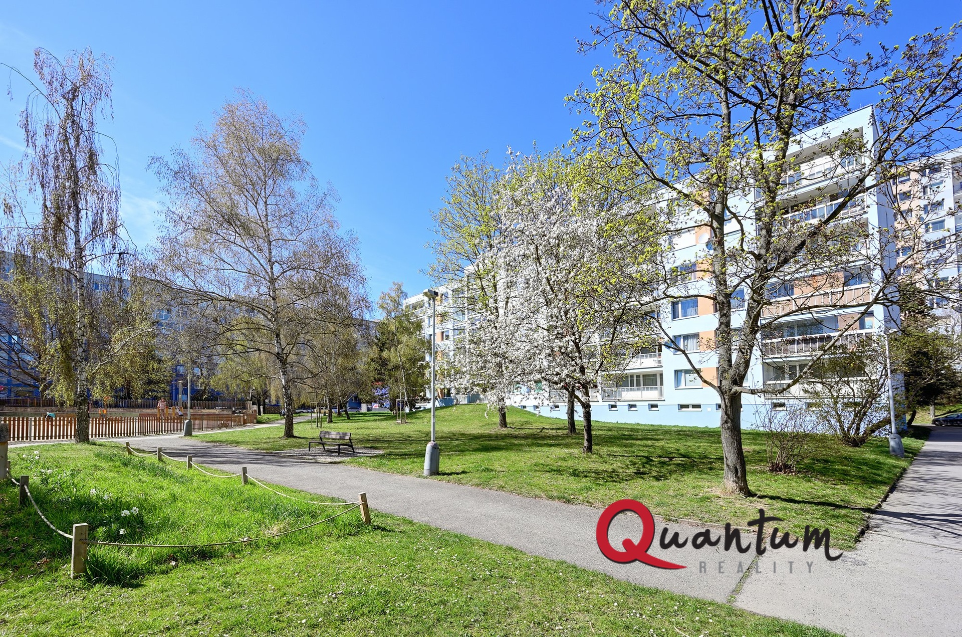 DSC_8355_00001_6_00001_7_00001_Fusion-Natural