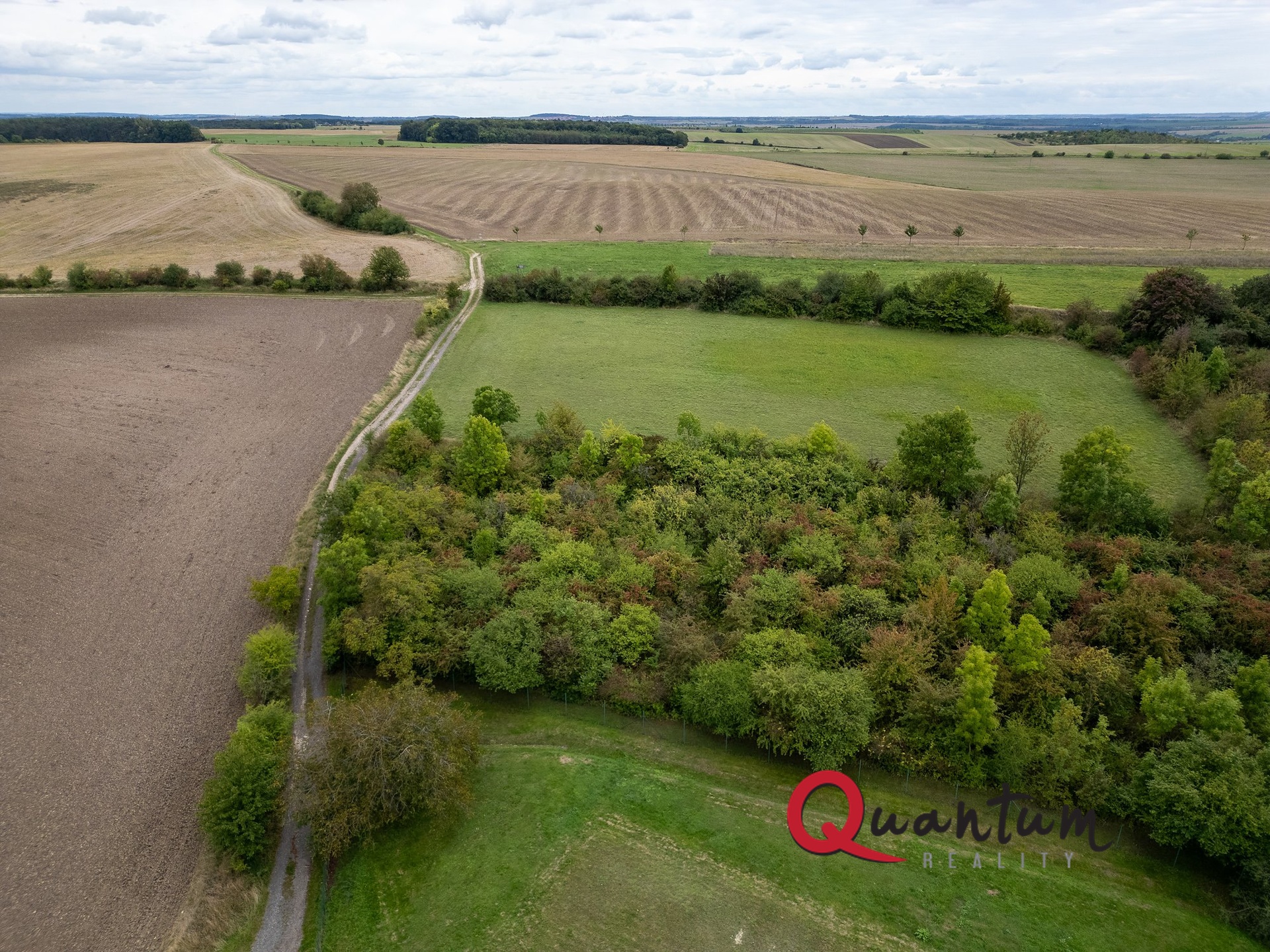 DJI_0211