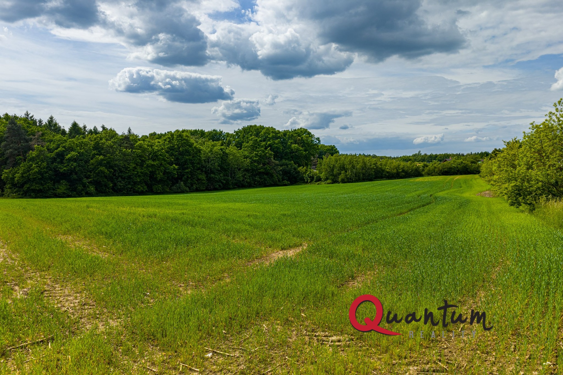 DJI_20250527152246_0807_D-HDR