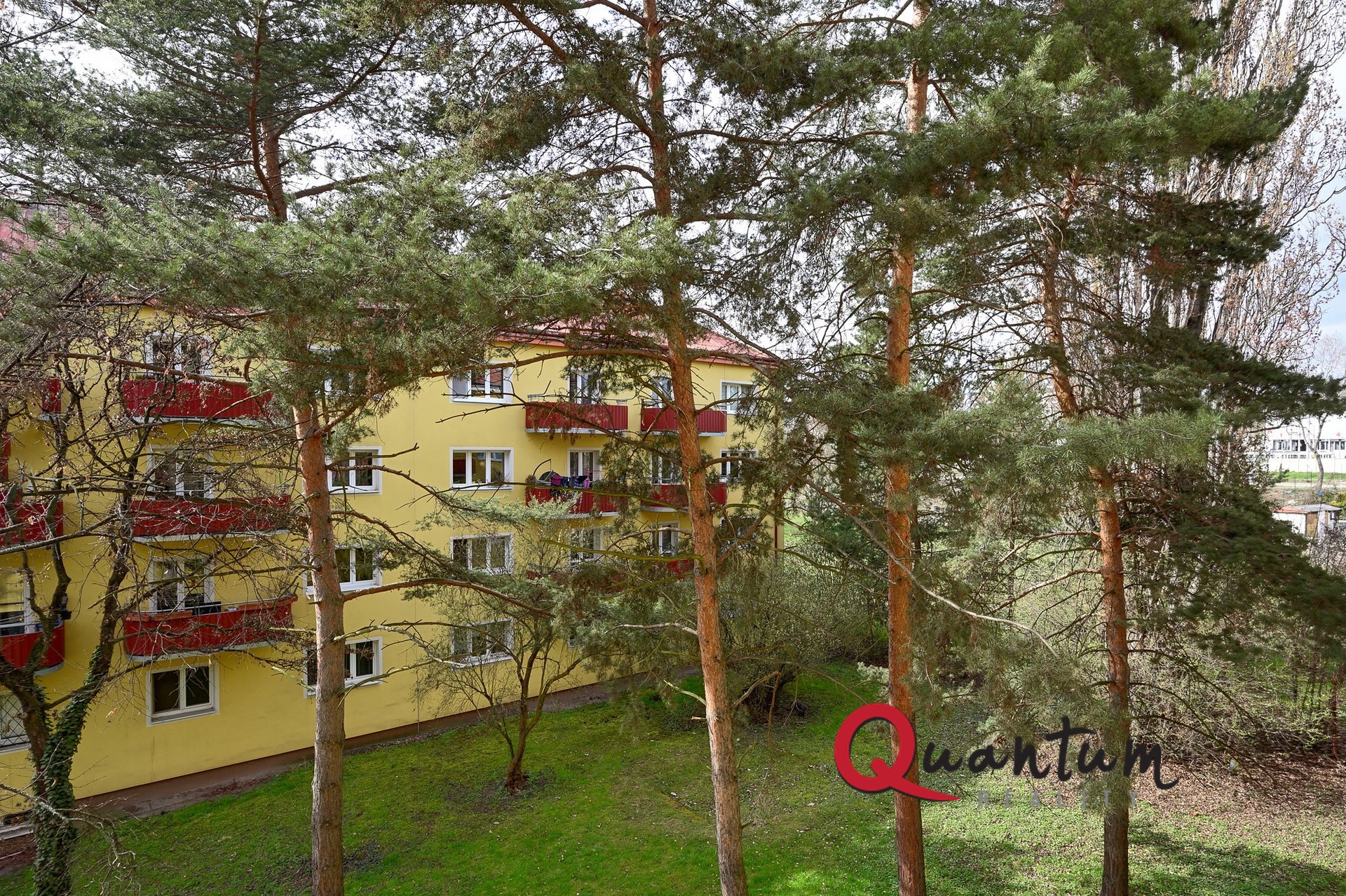 DSC_6989_00001And2more_Fusion-Natural