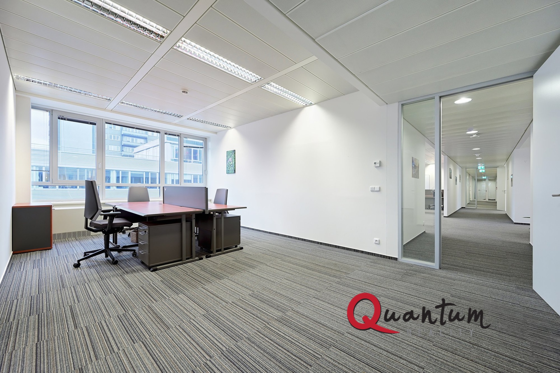 DSC_1366_00001_7_00001_8_00001_9_00001_Fusion-Natural