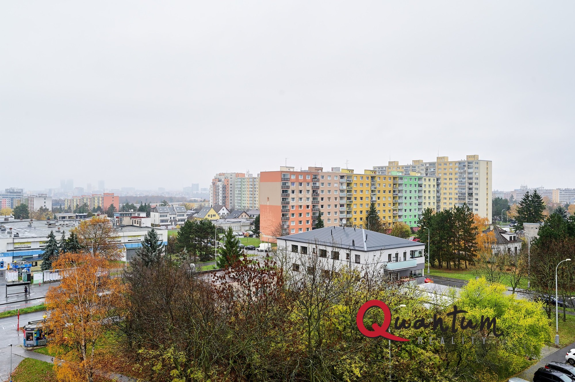 DSC_7273_00001_4_00001_5_00001_Fusion-Natural