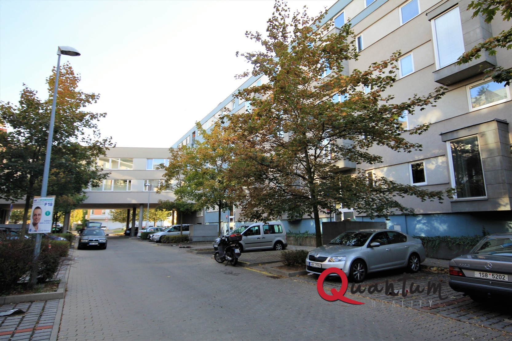 IMG_1115