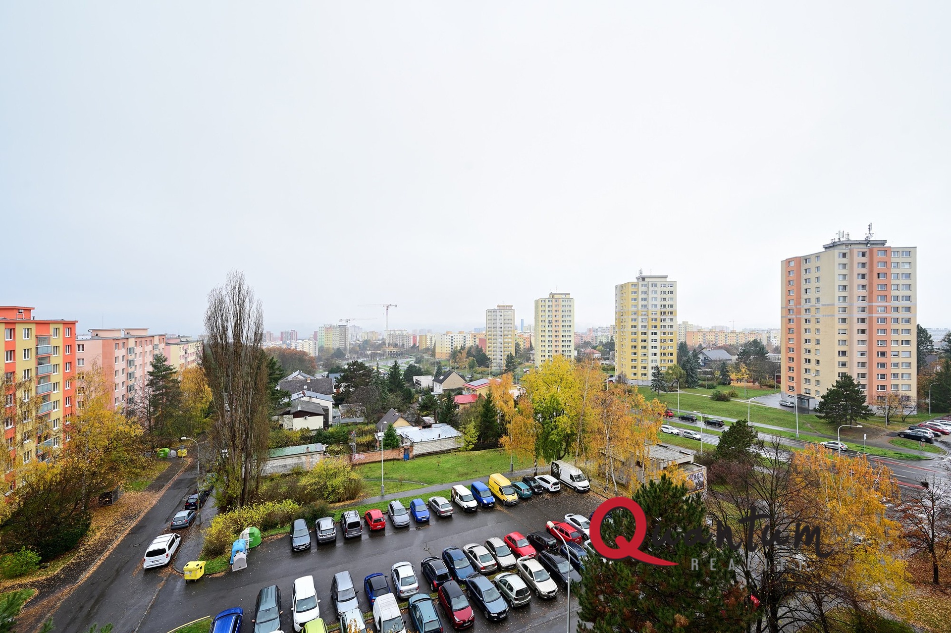 DSC_7317_00001_8_00001_9_00001_Fusion-Natural