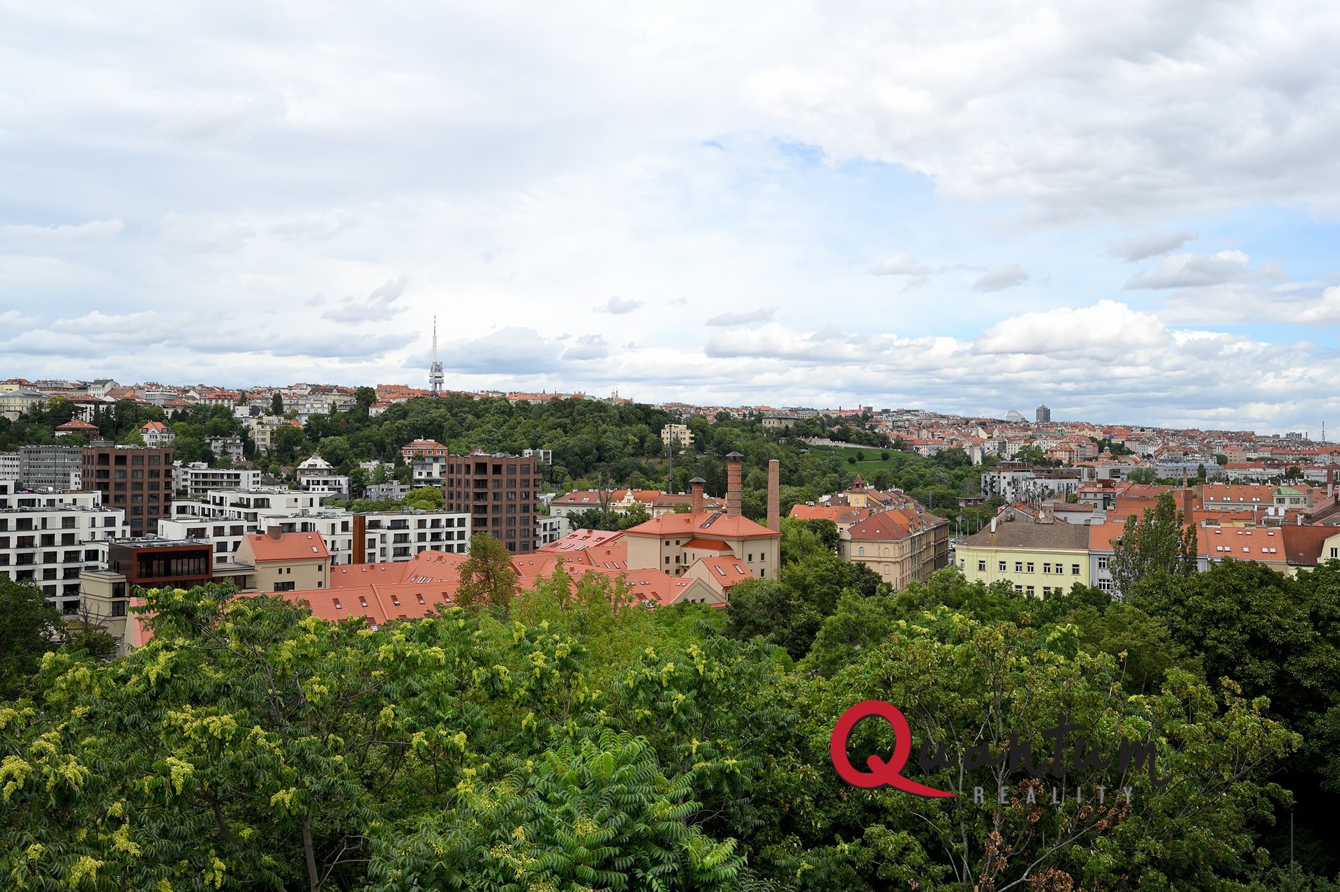 DSC_9067_00001_01