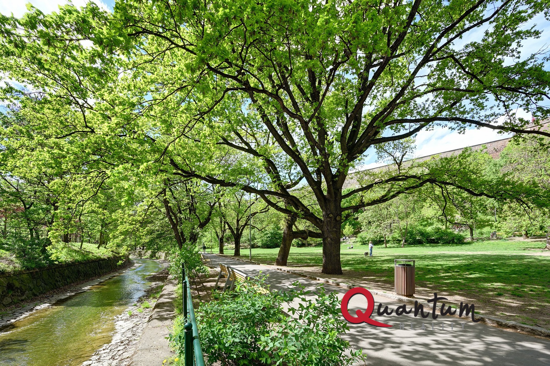 DSC_0040_00001_1_00001_2_00001_Fusion-Natural