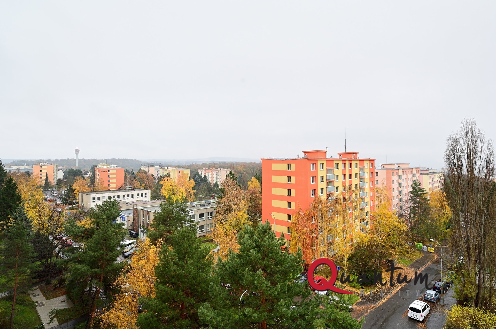 DSC_7314_00001_5_00001_6_00001_Fusion-Natural