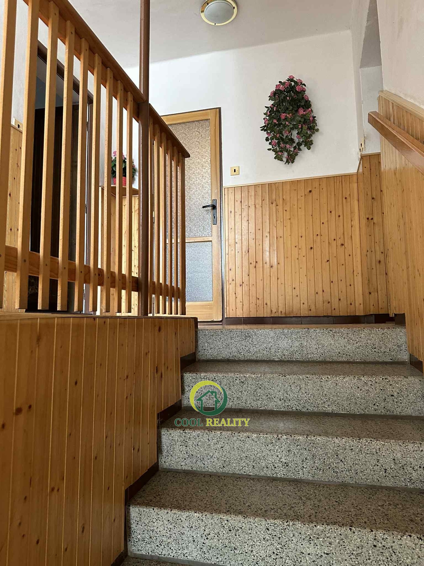 Messenger_creation_40F15AD7-8964-421D-A593-6490F95