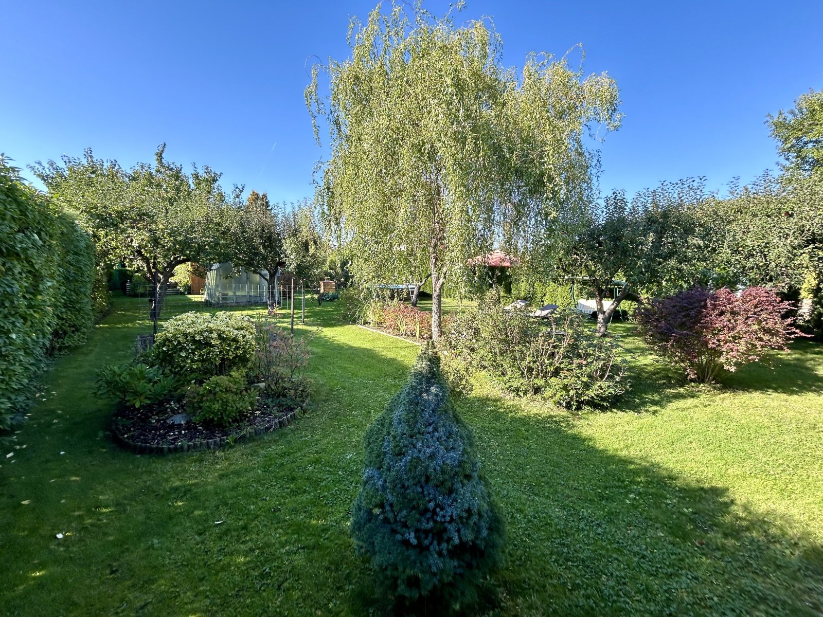IMG_6489.jpeg