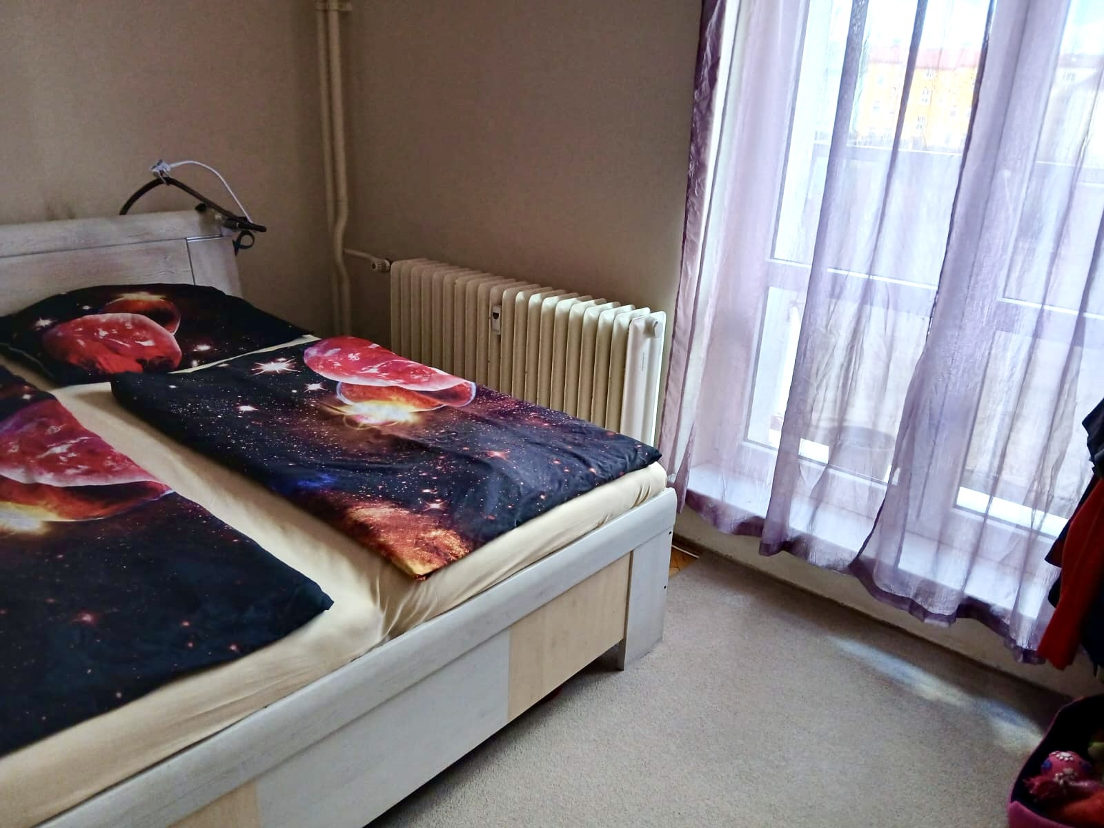 11 loznice foto 2.jpeg