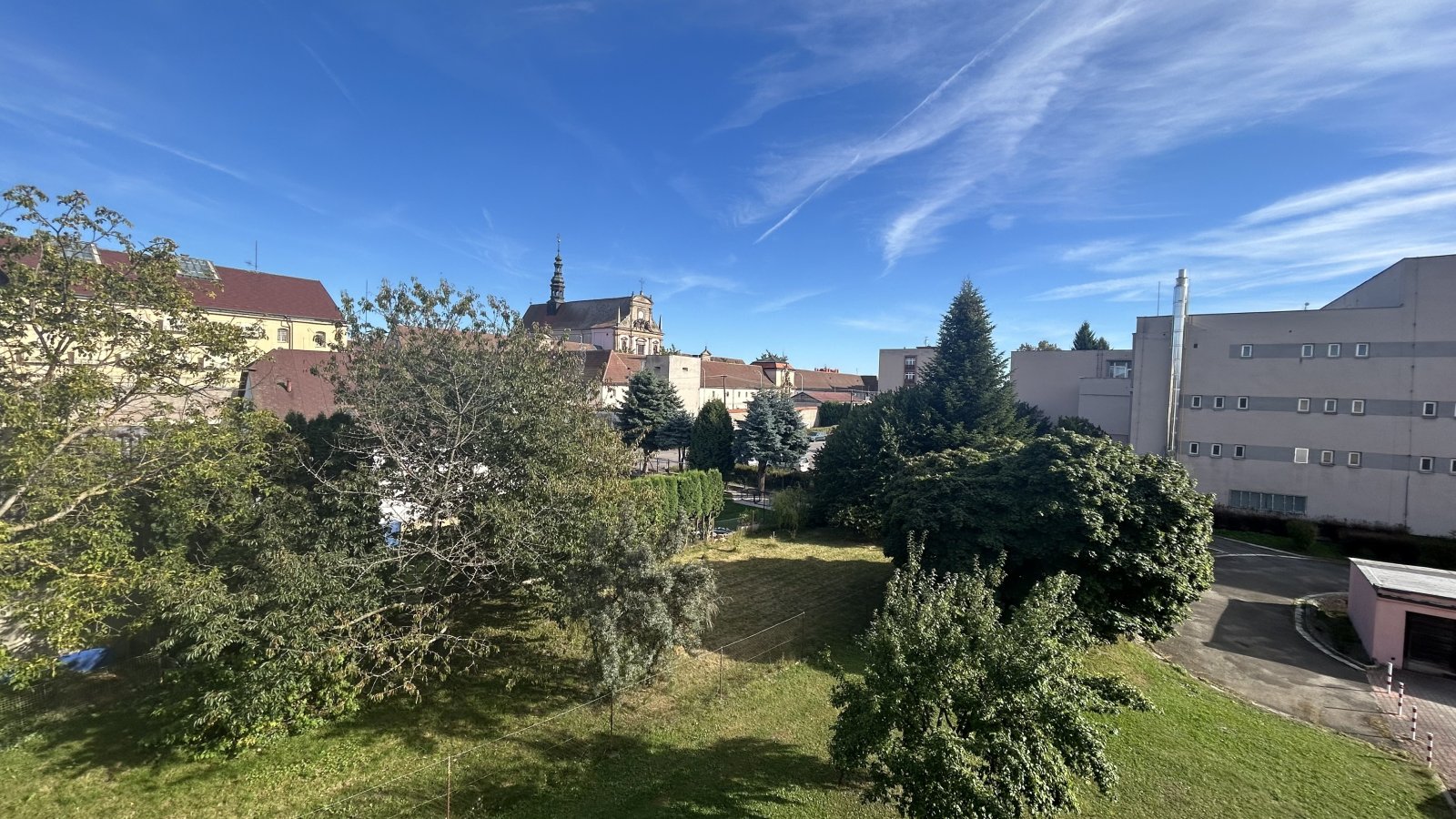 IMG_2020.jpeg