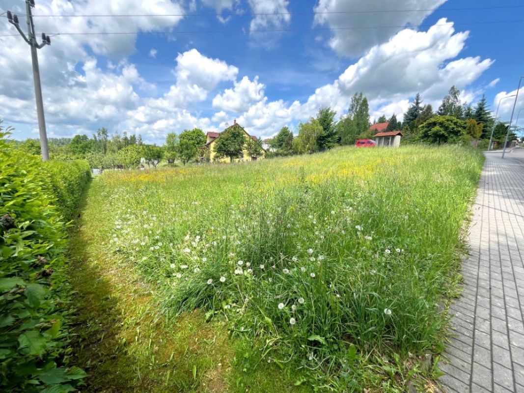 Foto 66.jpg