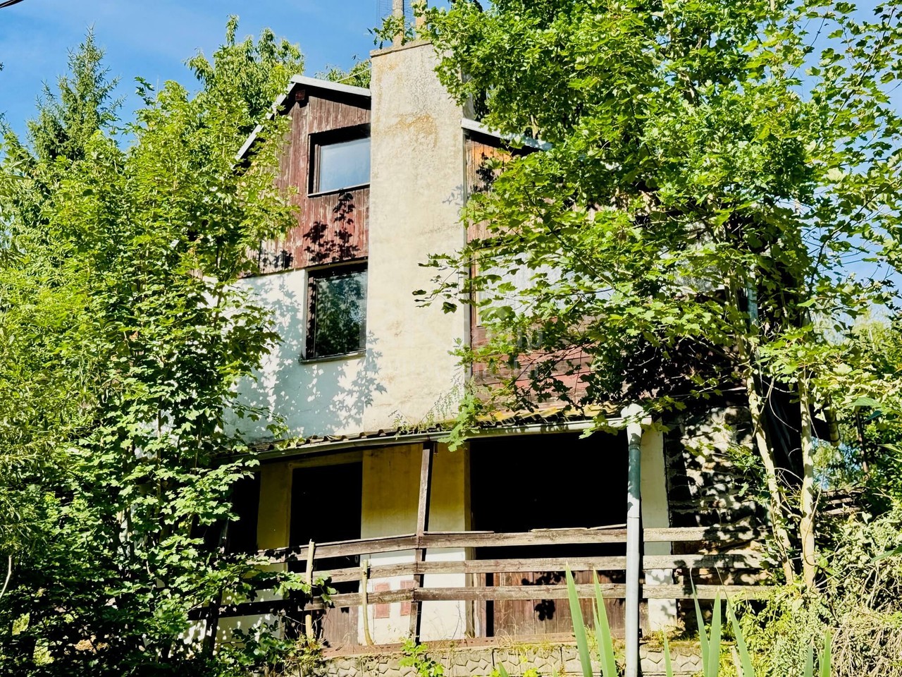 Fotka 6