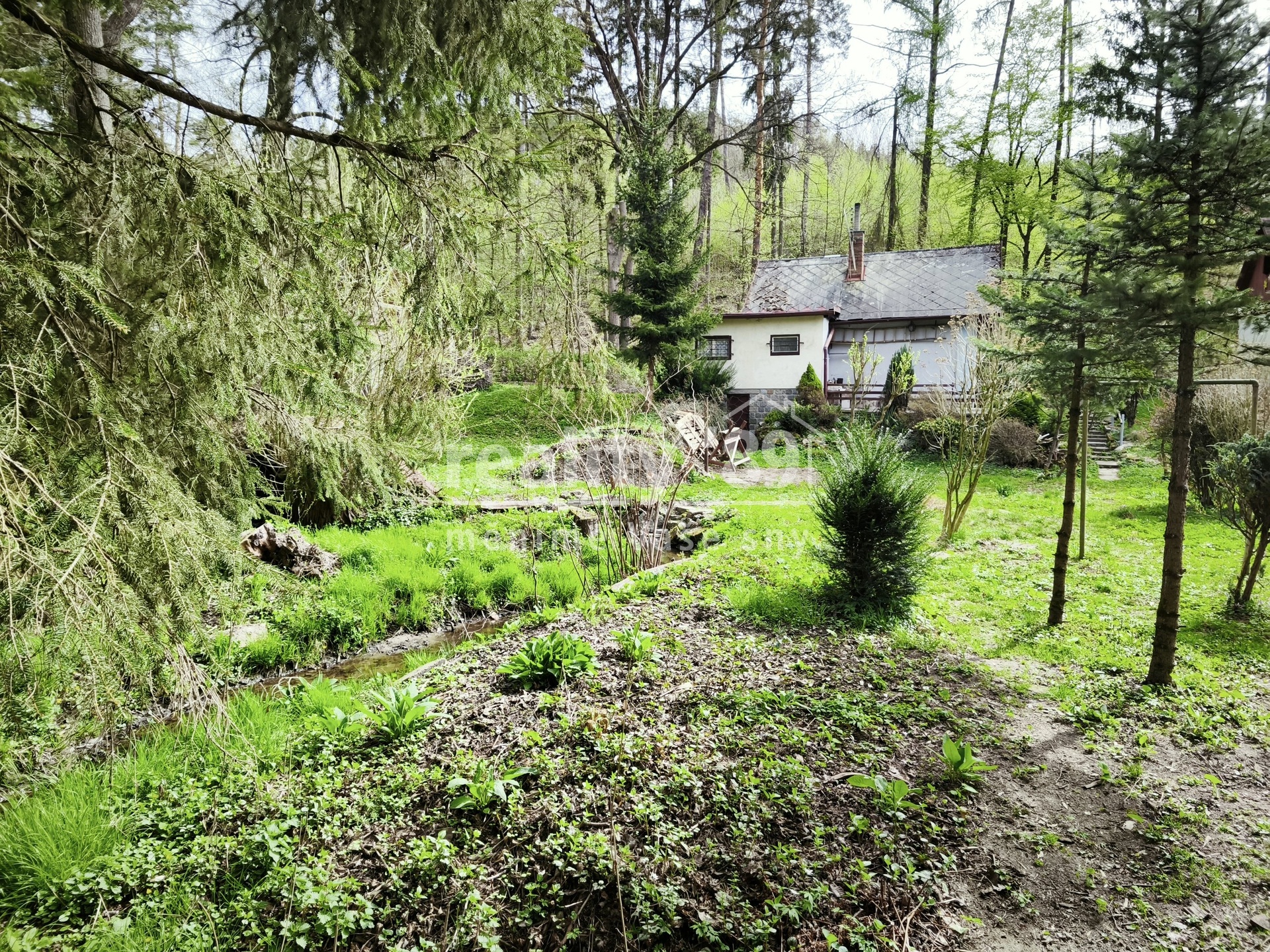 zahrada