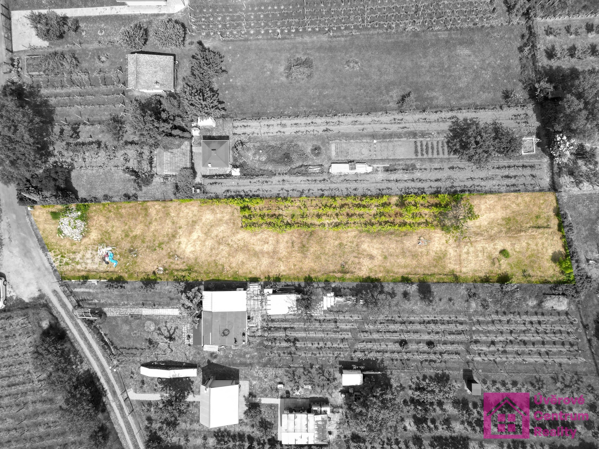 DRON1