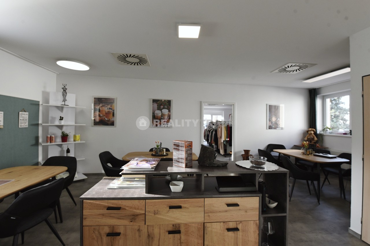 PRONÁJEM KOMERČNÍHO PROSTORU 194,4 M2 S VELKOU TER