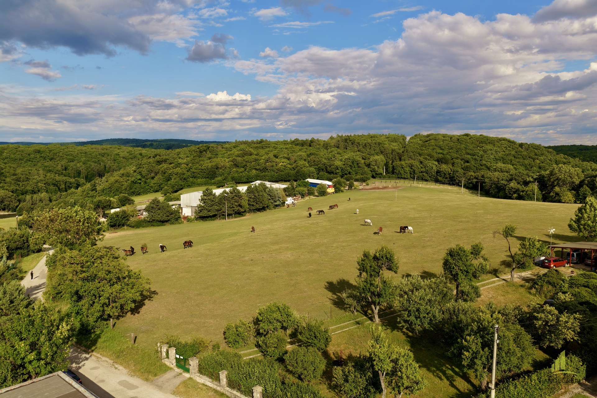 dji_fly_20250710_180036_0194_1752179990043_photo