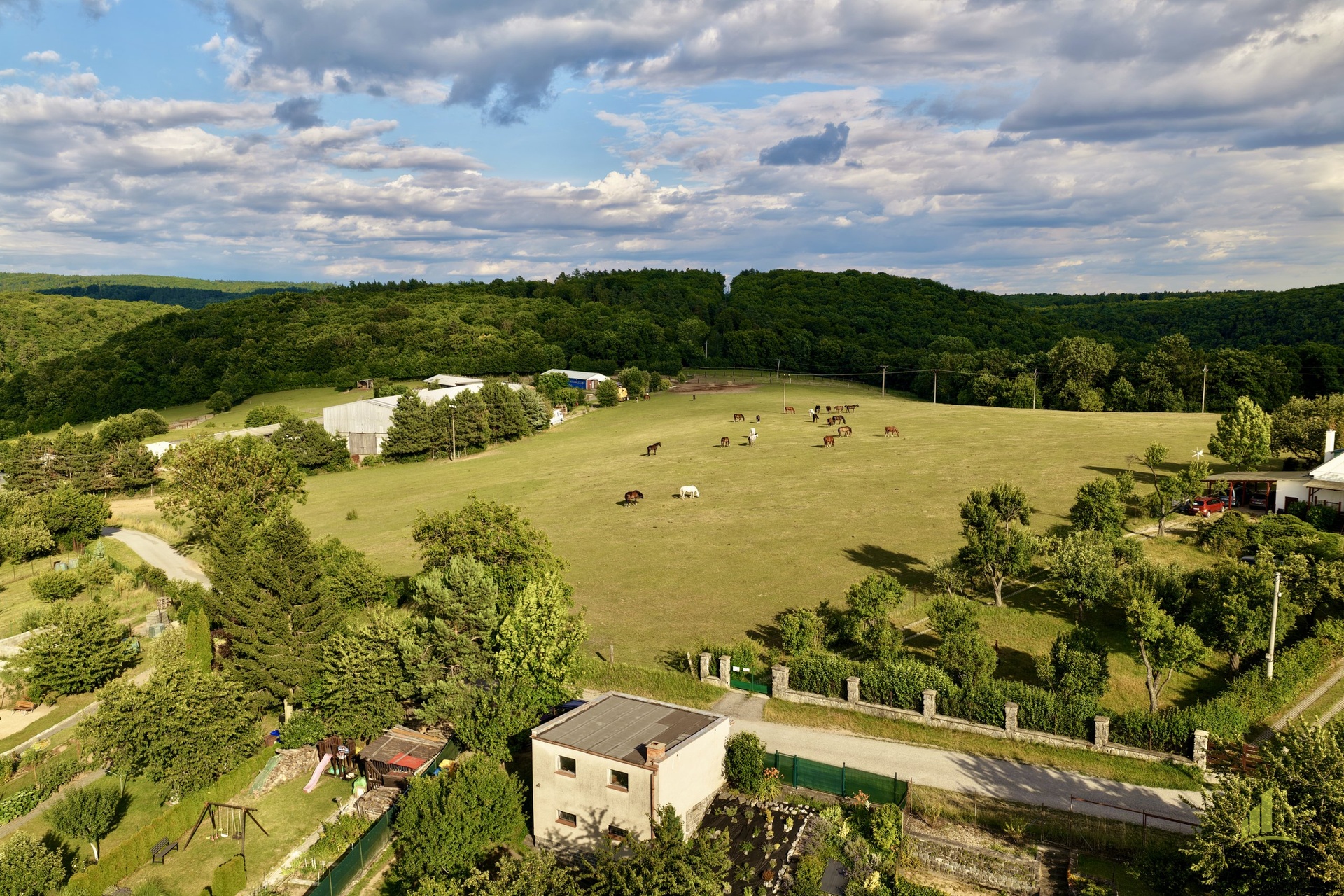 dji_fly_20250710_181106_0211_1752179987906_photo