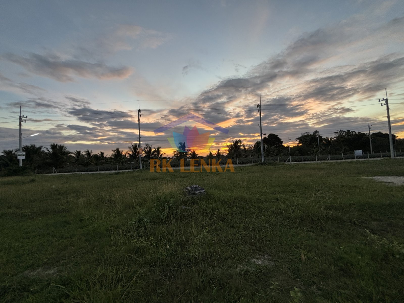 IMG_5249.jpeg