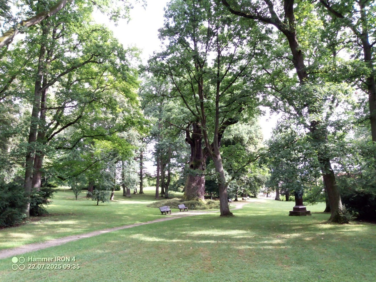 Park poblíž.jpg