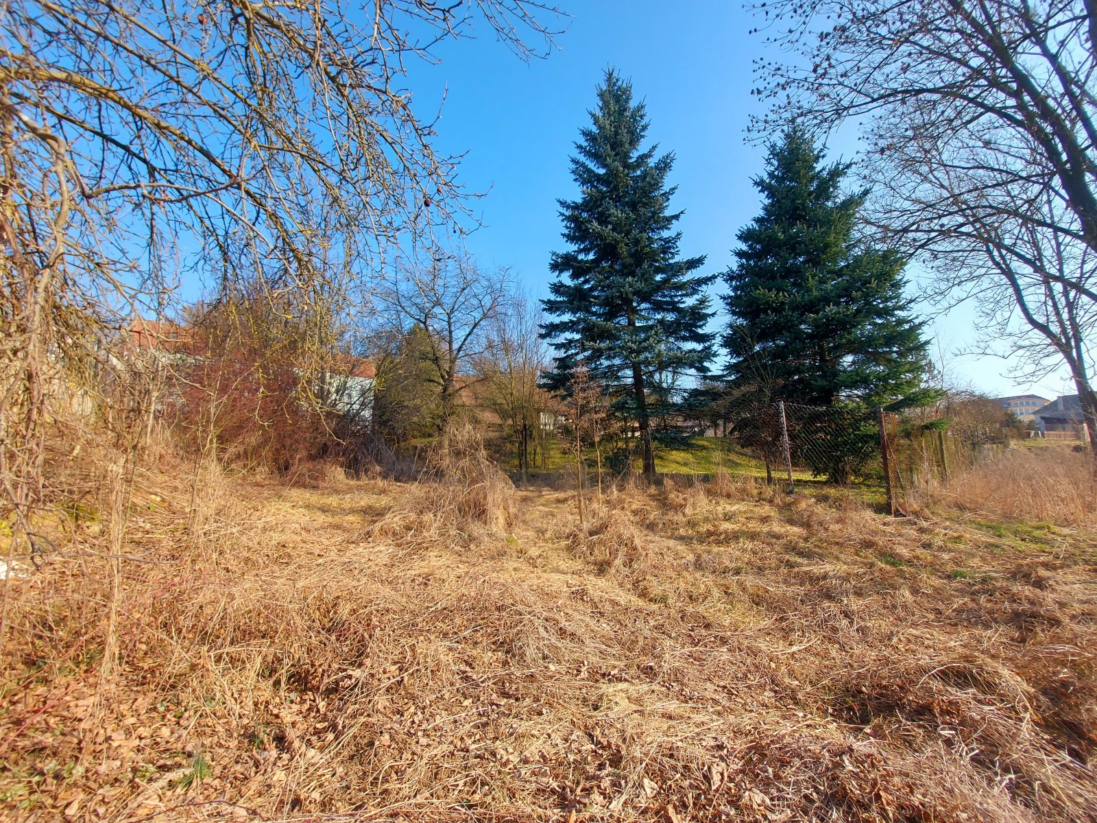 Pozemek Dolní Loučky