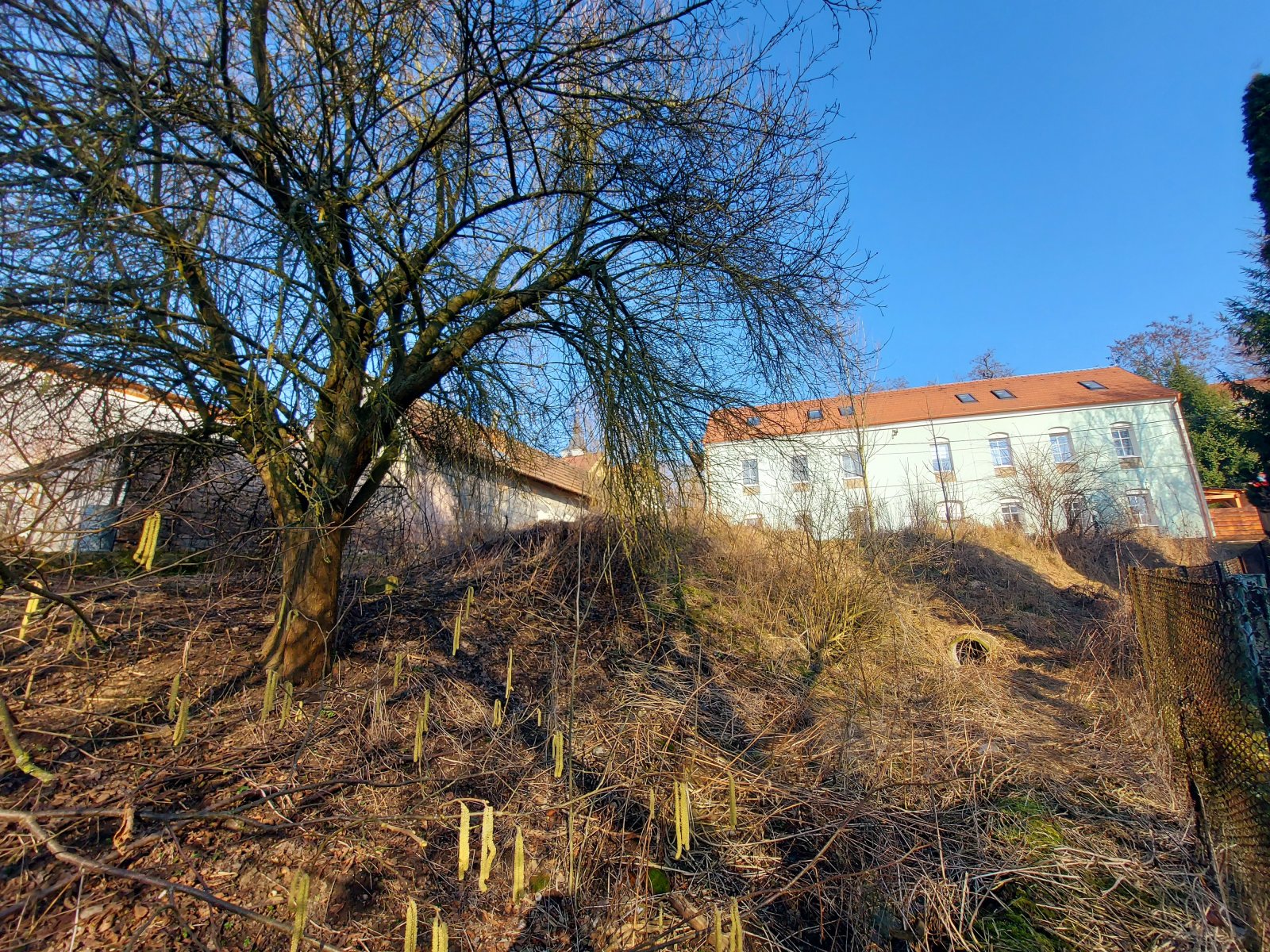Pozemek Dolní Loučky