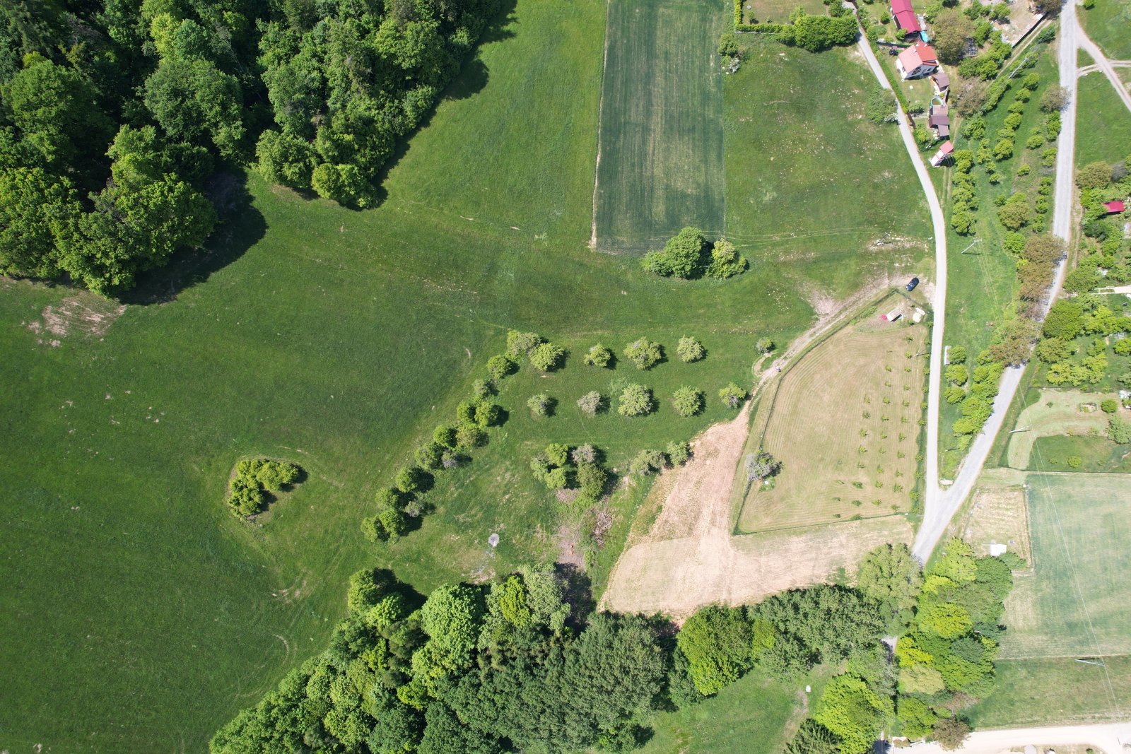 DJI_0562.JPG