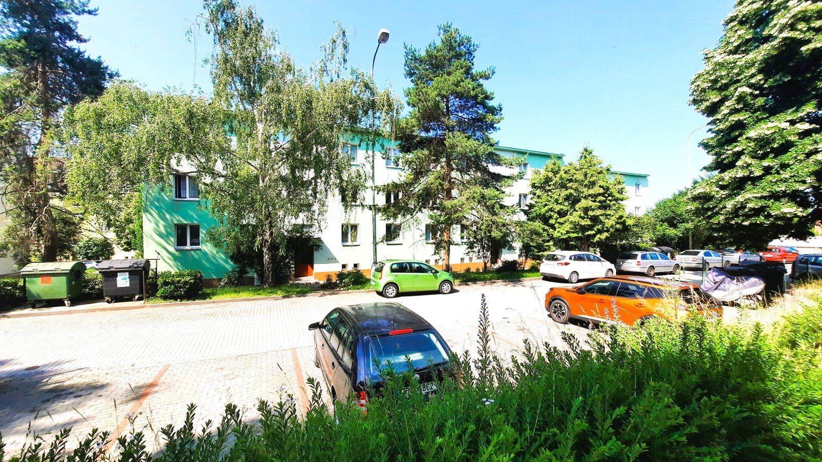20250612_102727.jpg
