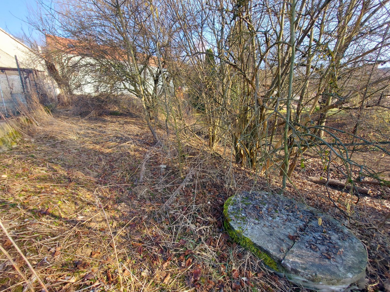 Pozemek Dolní Loučky