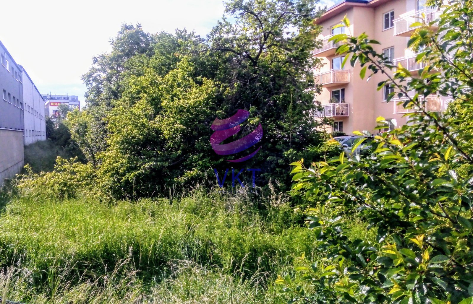 foto_upravené.jpg