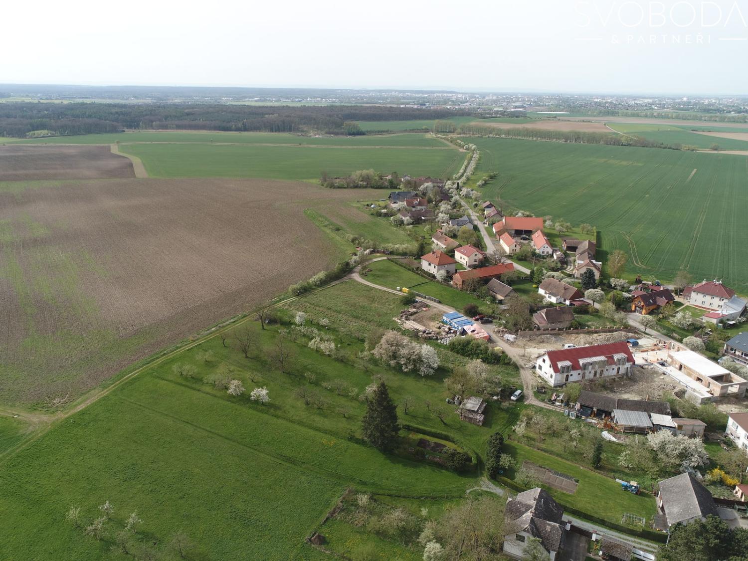 dji-0113.1729675303.jpg