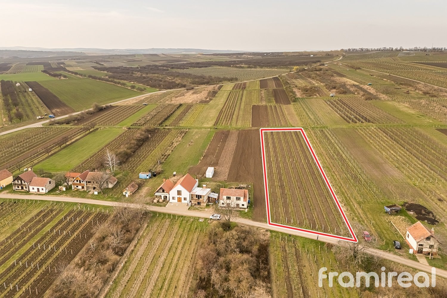 fotopozemkymoravskyzizkov (16)