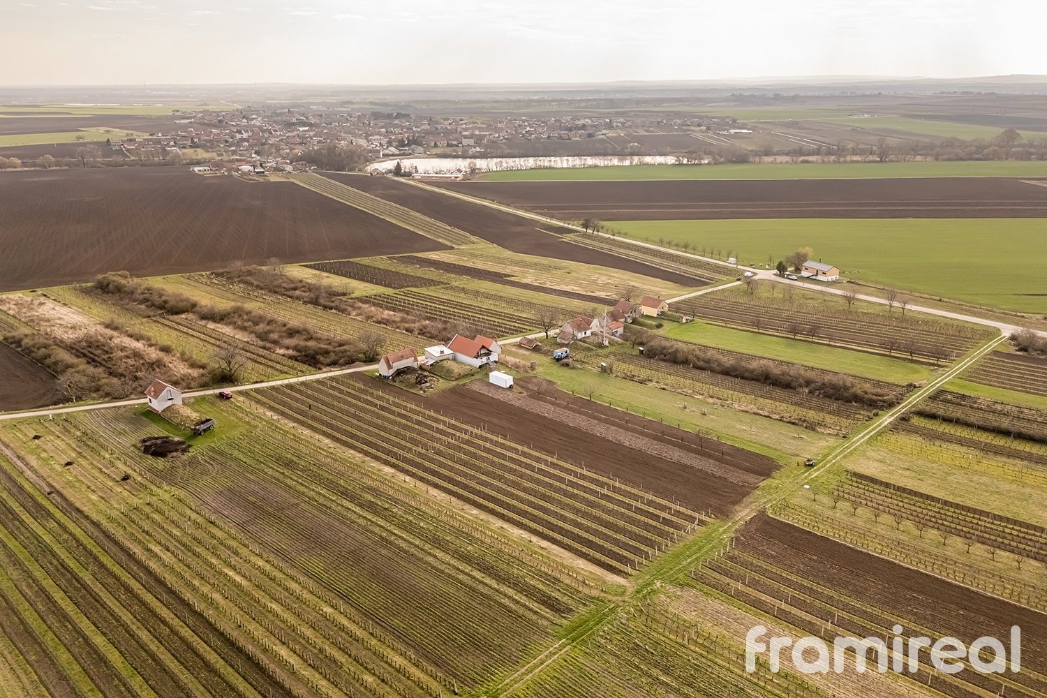 fotopozemkymoravskyzizkov (15)