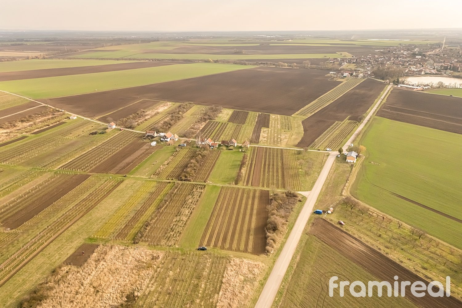 fotopozemkymoravskyzizkov (8)