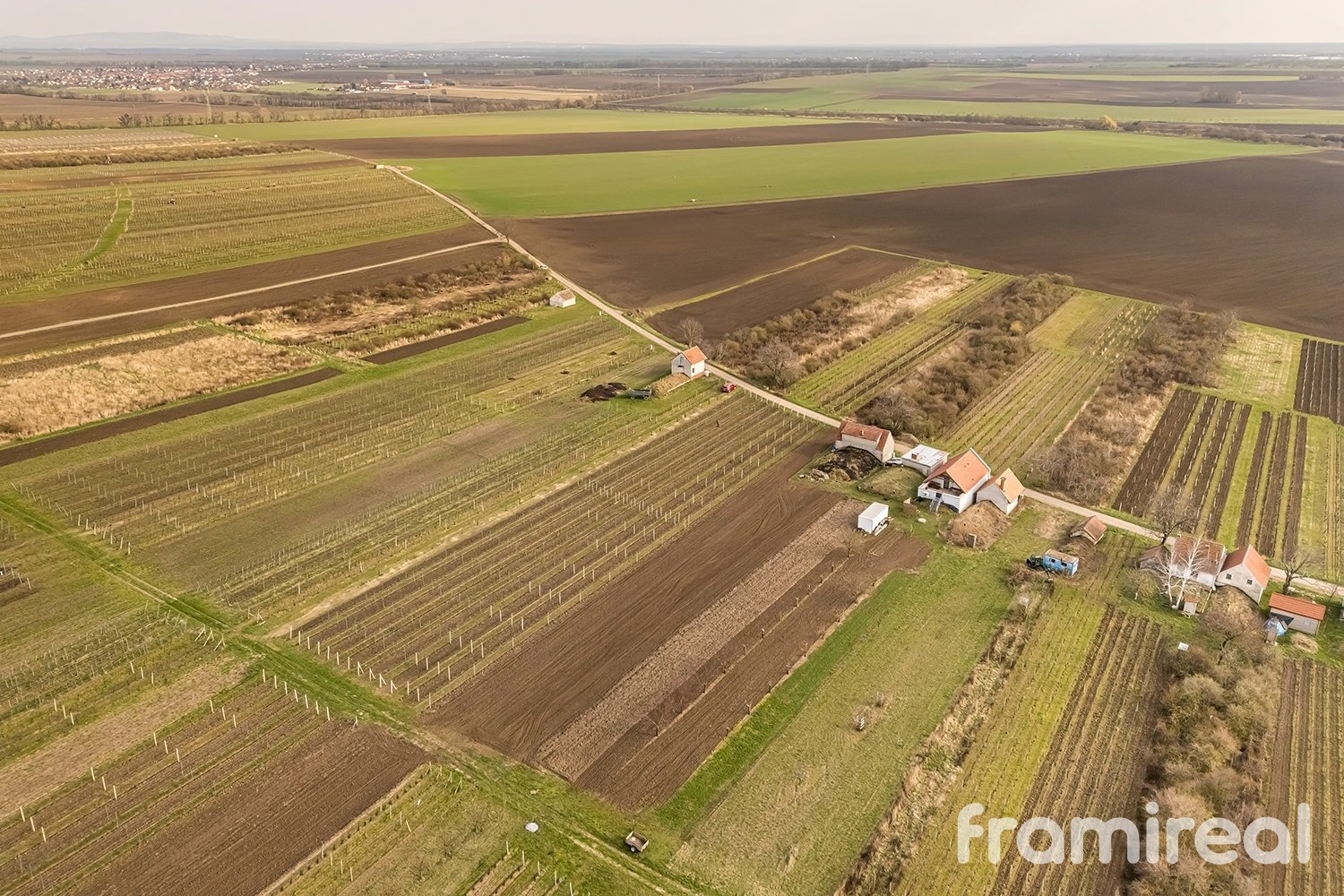 fotopozemkymoravskyzizkov (13)