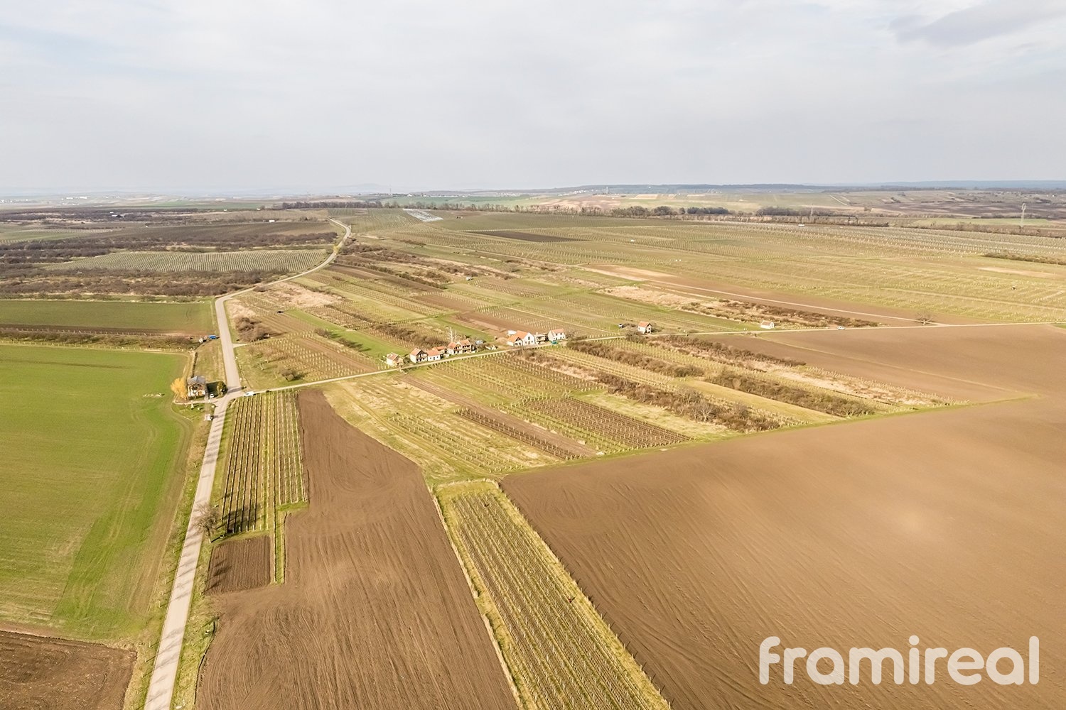 fotopozemkymoravskyzizkov (2)