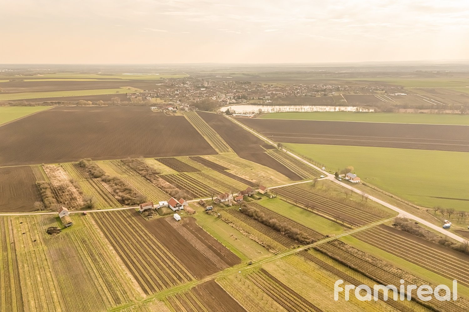 fotopozemkymoravskyzizkov (6)
