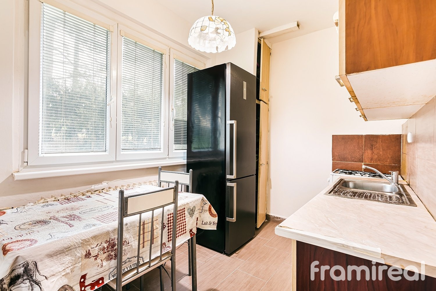 fotobytrenneskatr (6)