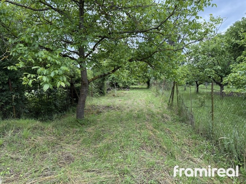 800x800wm1912170947-f682c-prodej-zahrady-907-m2-br