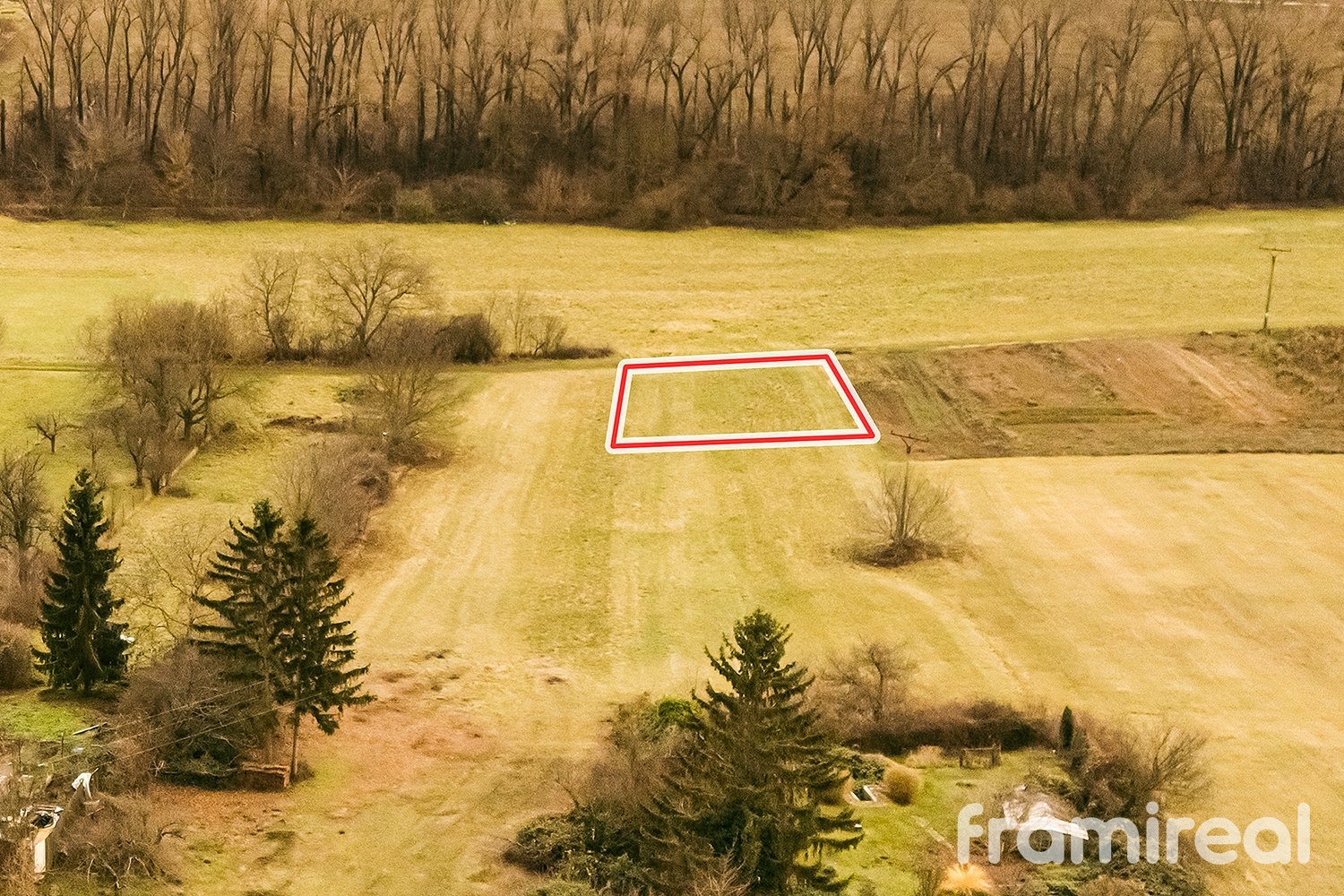 fotopozemekcechyne (10)