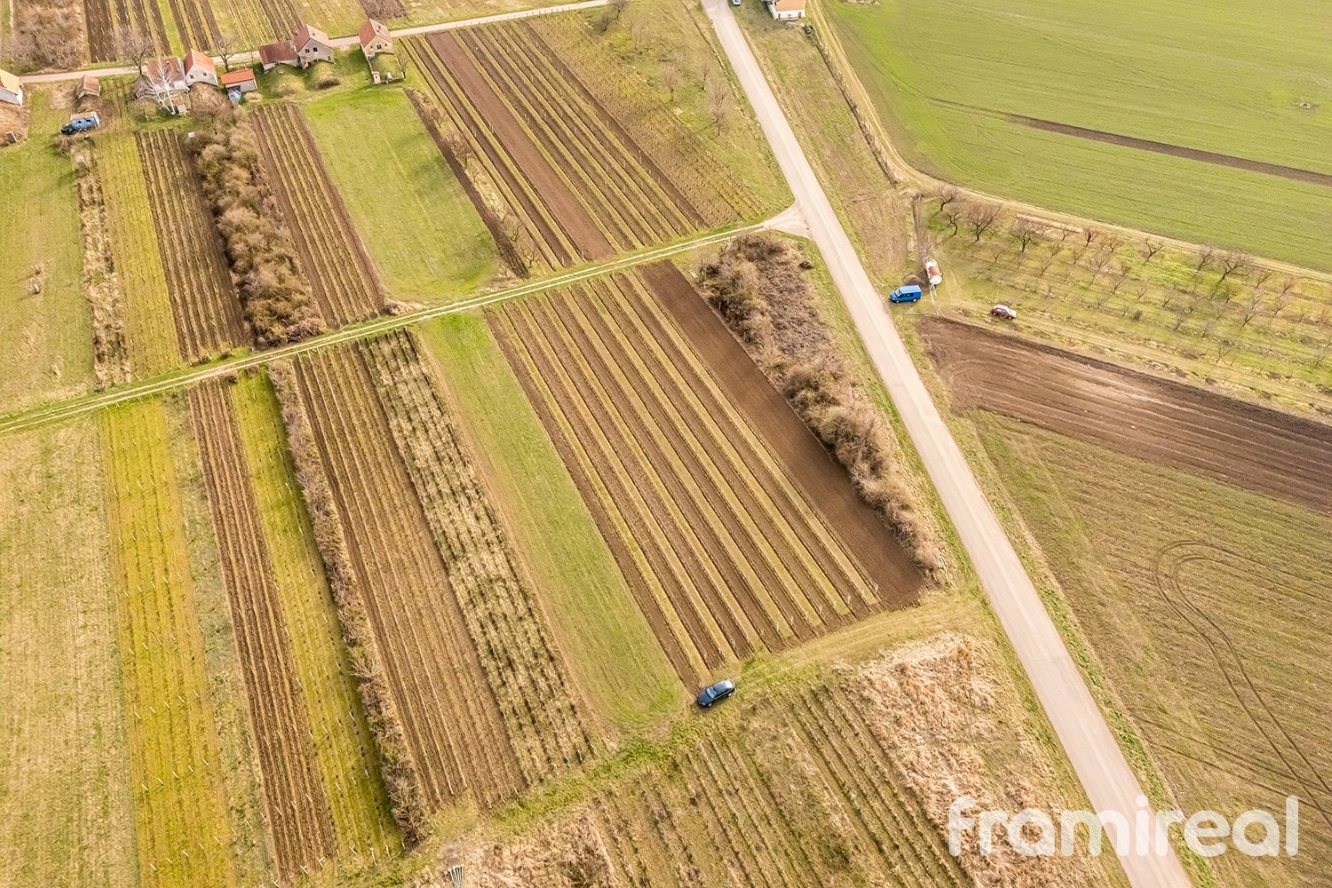 fotopozemkymoravskyzizkov (9)