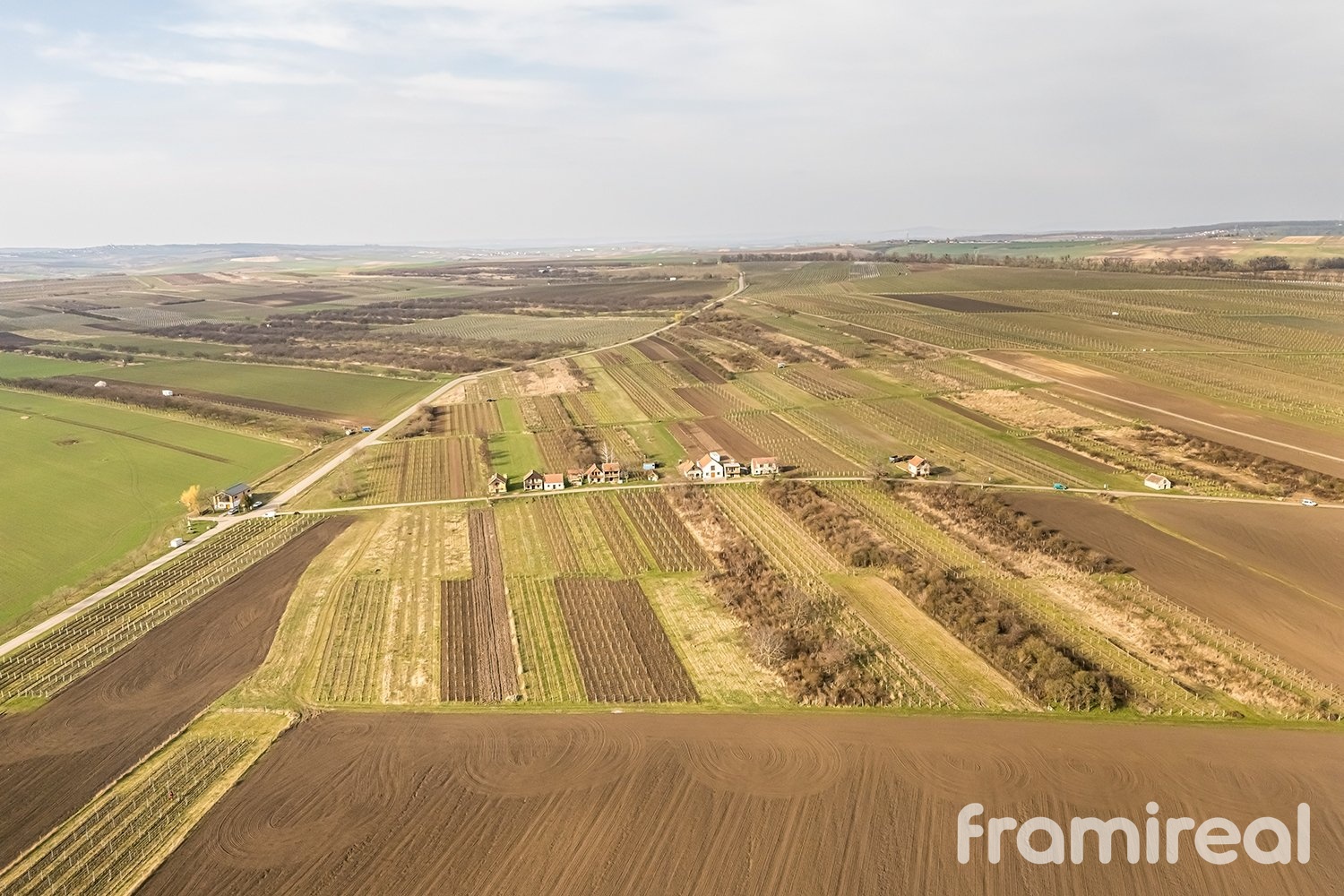 fotopozemkymoravskyzizkov (3)