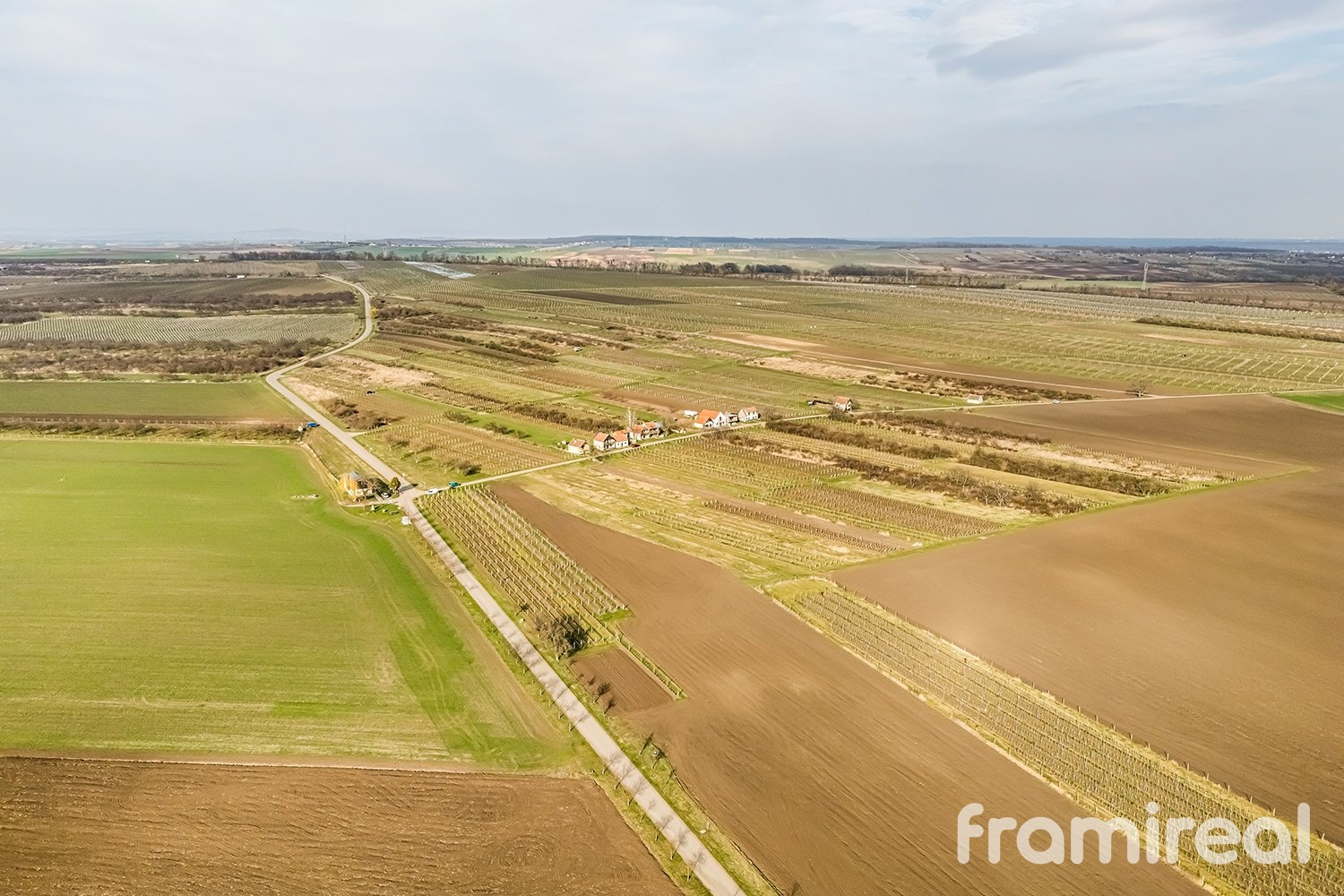 fotopozemkymoravskyzizkov (1)