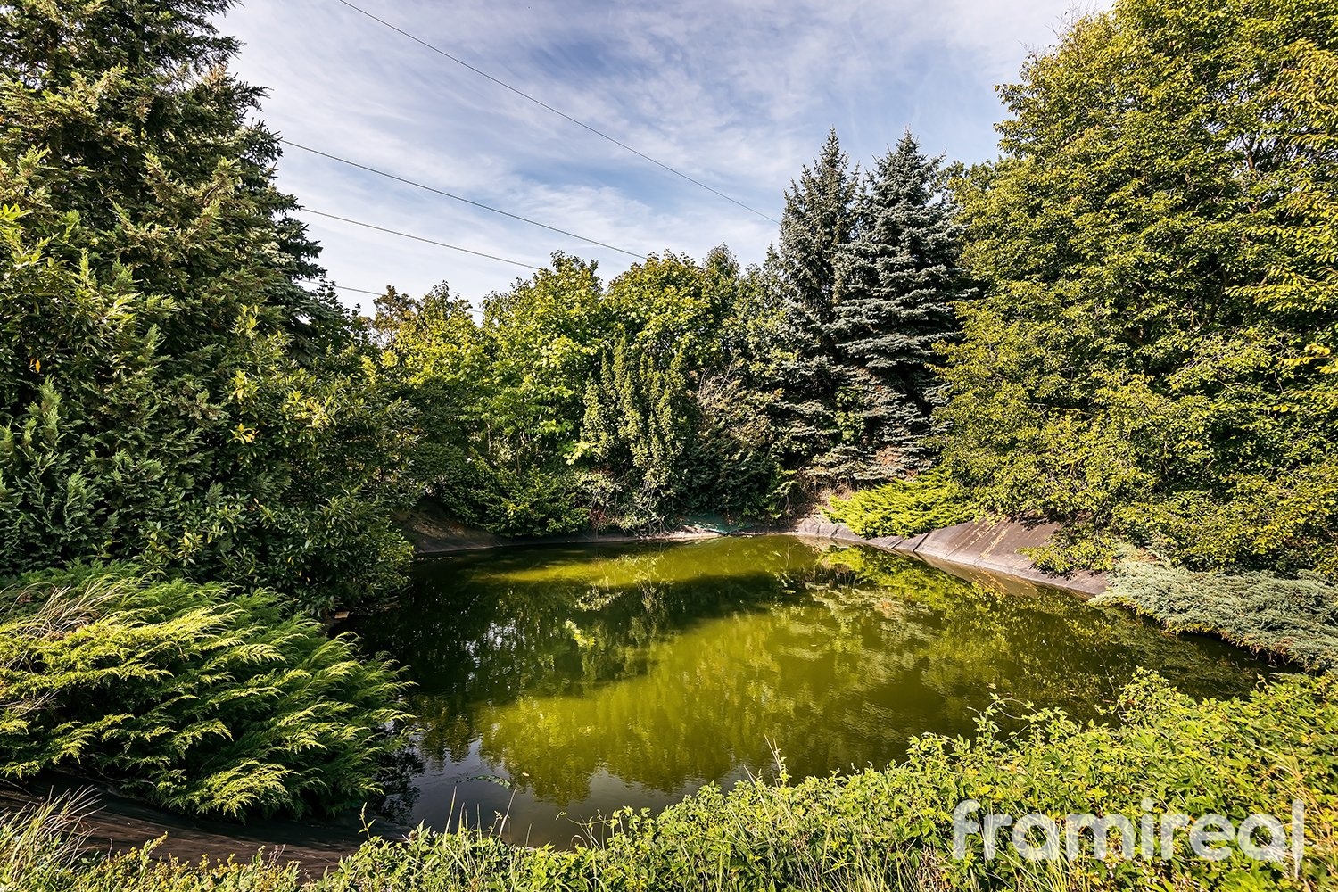 fotokomercesuchohrdly (33)